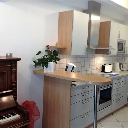 Exclusives 100m2 Schwarzwaldapartment * Berghaupten